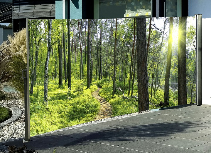 Sichtschutz - Seitenmarkise Wald, in Farbe , in Ausführung Kassette rechts, Auszug nach links