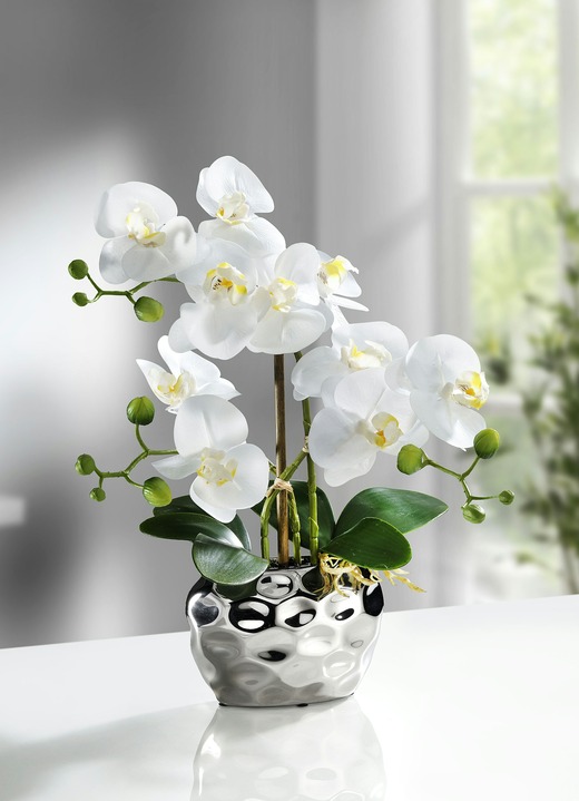 Geschenkideen - Orchidee im Topf, in Farbe SILBER