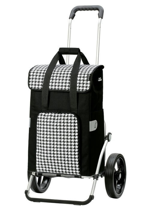 Mobilität - Profi-Einkaufsroller, in Farbe