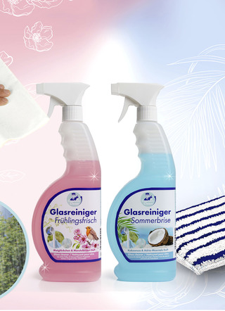 Glasreiniger-Set
