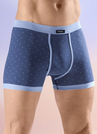 Viererpack Unterhosen mit Alloverdessin
