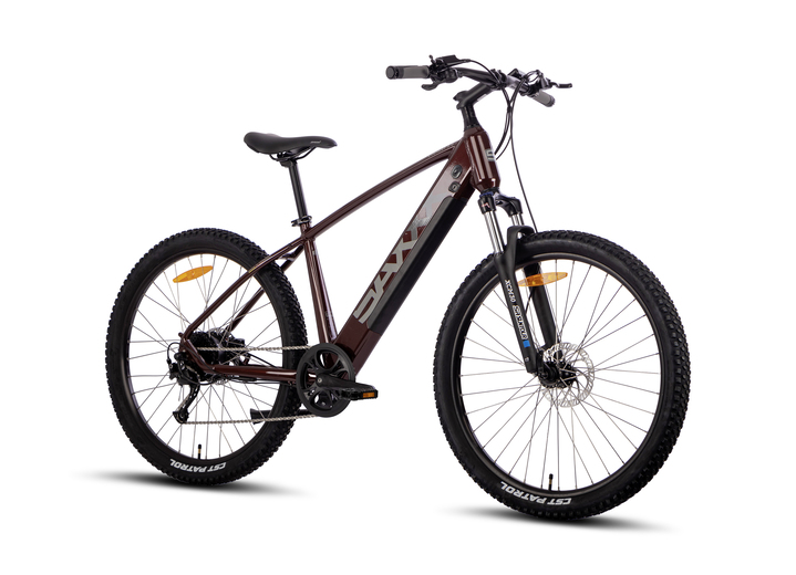 Elektromobilität - E-Mountainbike Everest 5.0, in Farbe BORDEAUX Ansicht 1