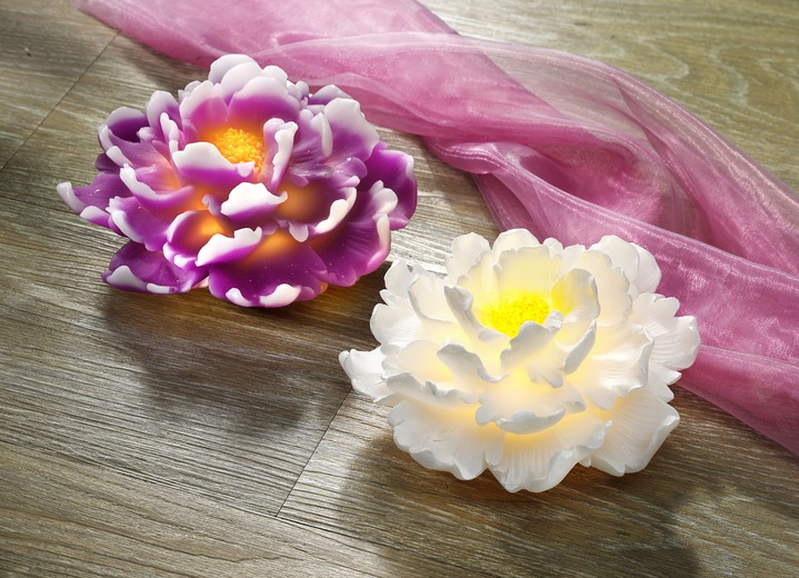 Wohnaccessoires - LED-Chrysantheme aus Kunststoff, in Farbe LILA