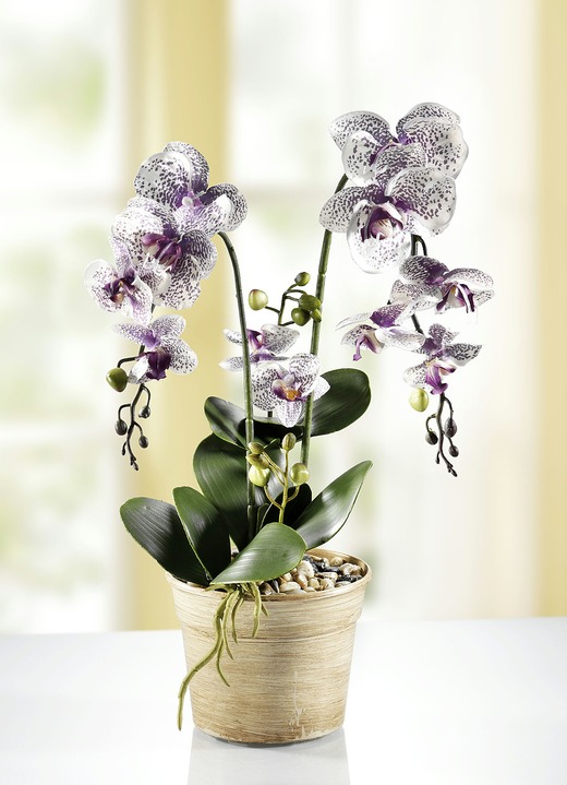 Kunst- & Textilpflanzen - Orchidee im Topf, in Farbe