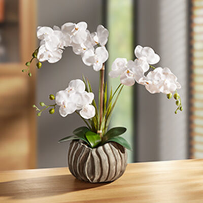 Bewerbung des Bereichs: Dekoration