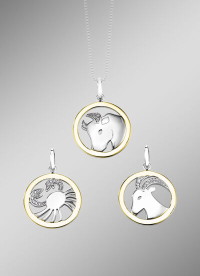 Sternzeichen-Anh&auml;nger  