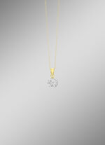 Anhänger in Bicolor 