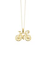 Fahrrad-Anh&auml;nger aus Gold  