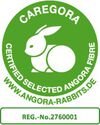 Logo_Caregora