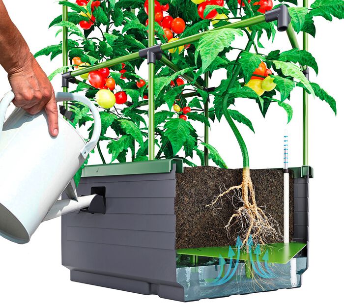 Rankkasten City Jungle 