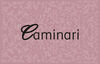 BADER1Logo_Caminari_2021H