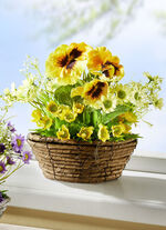 Stiefmütterchen und Margeriten in Weidekorb GELB