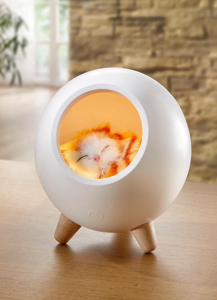 Tischlampe mit integriertem Akku 