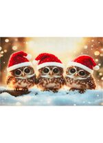 Fussmatte mit rutschhemmender Gummi-R&uuml;ckseite 