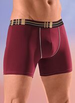 Viererpack Pants mit Elastikbund 