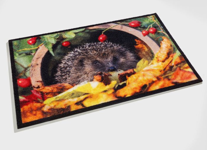 Fussmatte mit Igel-Motiv BUNT