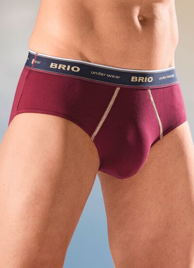 Dreierpack Slips mit Elastikbund 