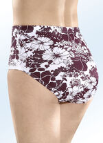 F&uuml;nferpack Slips mit Gummizug im Bund 