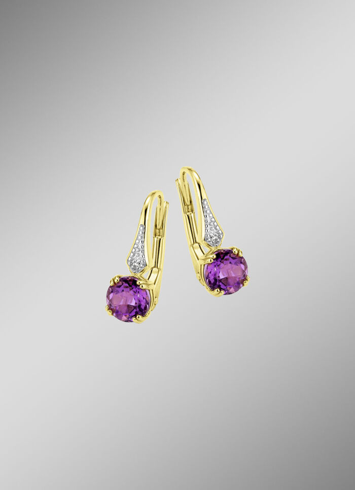 Glamour&ouml;se Ohrringe  