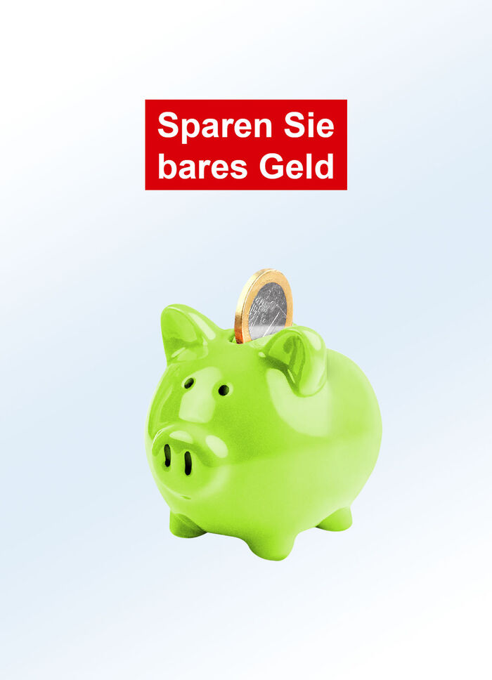 Mobiler und überall einsetzbarer Öl-Radiator