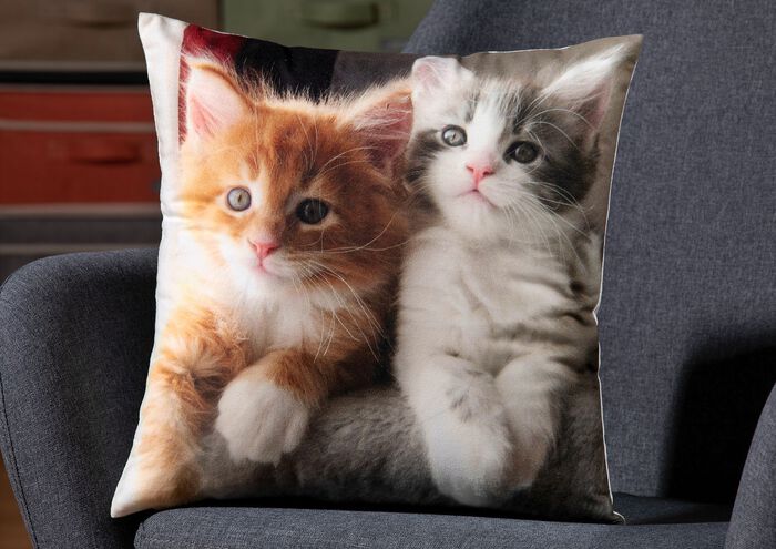 Kissenbezug mit K&auml;tzchen-Motiv in Samtoptik BUNT