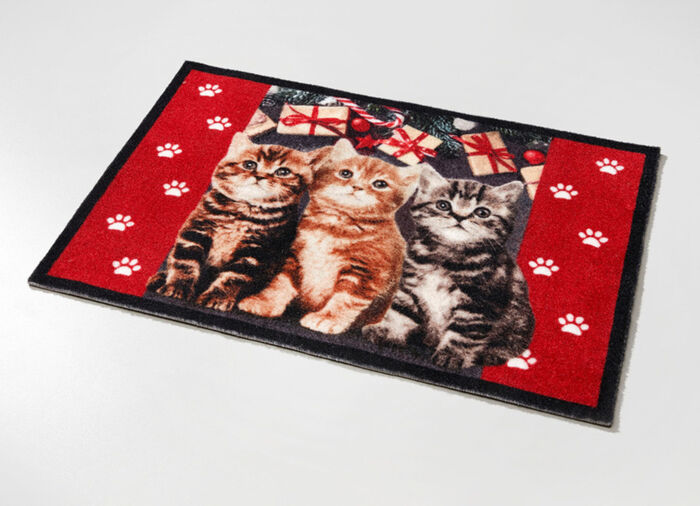 Fussmatte mit beschichteter Rückseite 