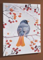 Bild Vogel des Jahres 2025 Hausrotschwanz auf Leinwand 