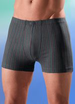 Viererpack Pants mit Dehnbund 