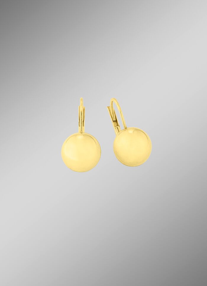 G&auml;nzende Ohrringe 