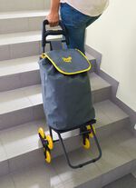 &laquo;The Climb Cart&raquo; Einkaufswagen 