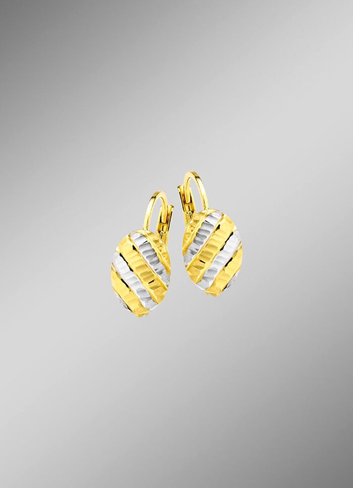 Eleganz in jedem Detail: Bicolor-Ohrringe aus Gold 375/- fein 