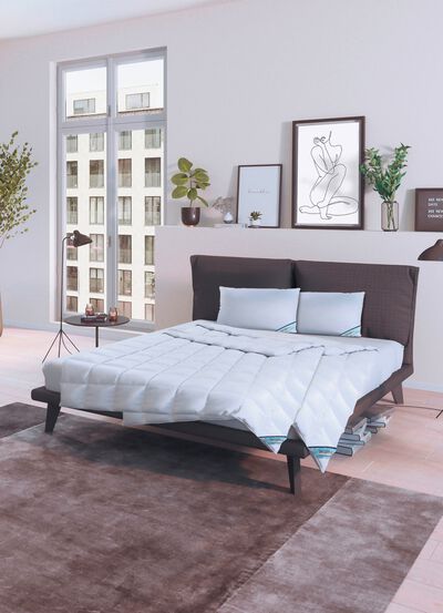 Daunenprogramm Antarktis von Spessarttraum 