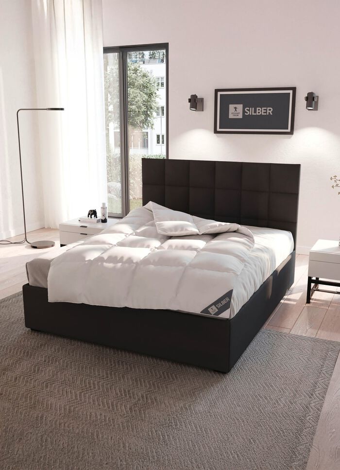 Fantastisches, mit gr&ouml;sster Sorgfalt in Deutschland hergestelltes Daunenprogramm aus dem Hause Spessarttraum 