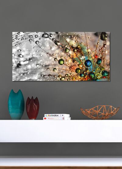 Bild &laquo;Farbenfrohe Natur&raquo; 