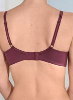 Edel schimmernder Sassa BH 