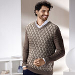  Melierter V-Pullover BEIGE-BRAUN MELIERT