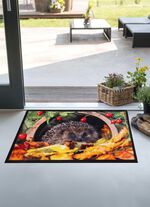 Fussmatte mit Igel-Motiv BUNT