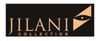 BADERde_DE1JilaniCollec_2005H_B_detail BADERde_DE1JilaniCollec_2005H_B_detail