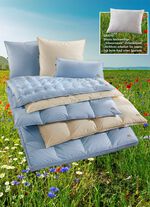 Erstklassige Daunendecken-&laquo;Sonderserie blau & creme&raquo; aus dem Schwarzwald 