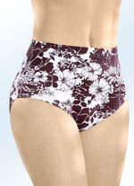 F&uuml;nferpack Slips mit Gummizug im Bund 