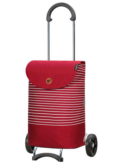 Leichter und robuster Einkaufsroller von Andersen 