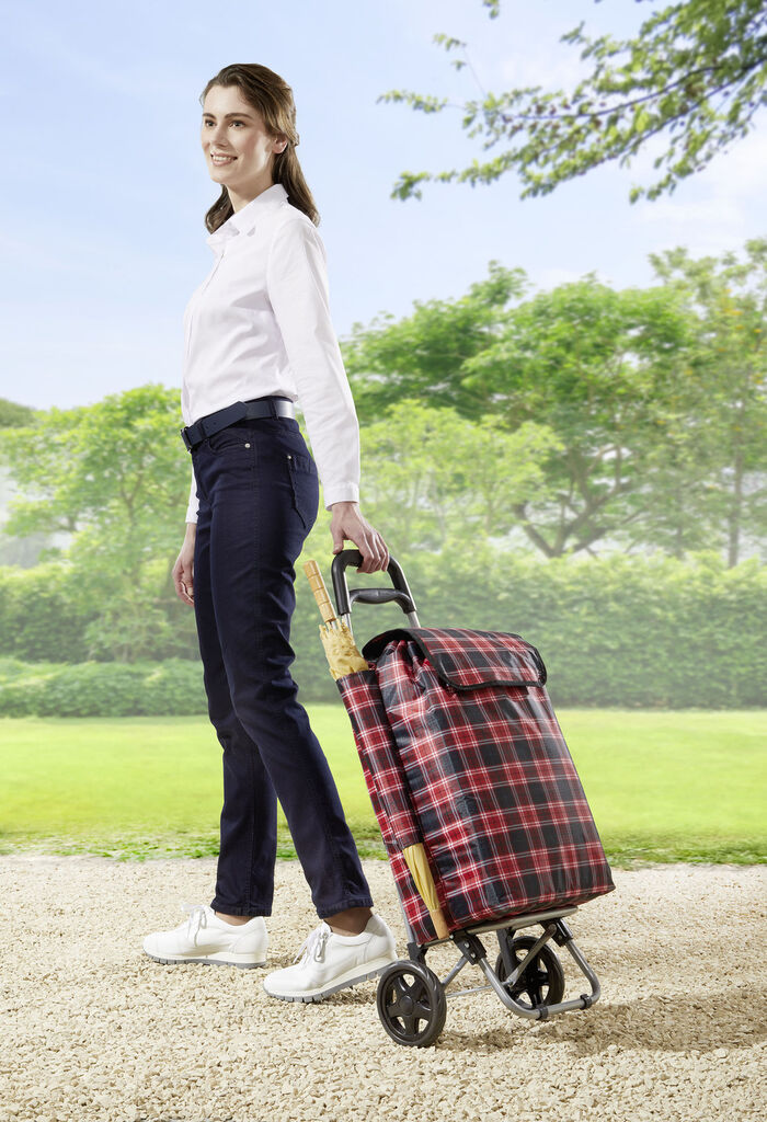 Einkaufstrolley mit Rucksack 