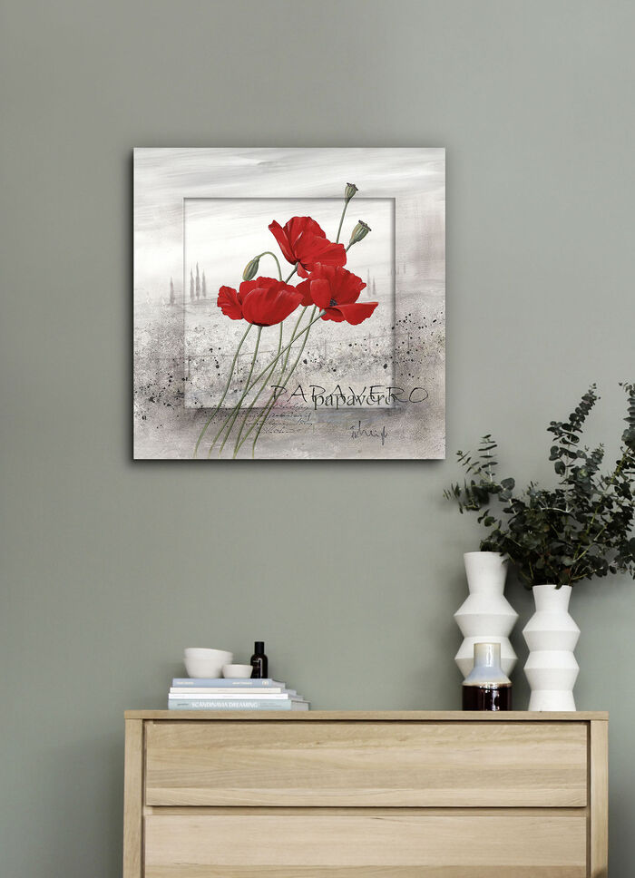 Bild Mohnblumen an einem nebligen Morgen 