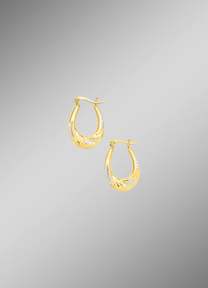 Eleganz und Glanz: Creolen in Bicolor 