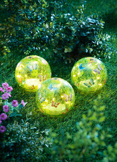 LED-Glaskugeln «Schmetterling», 3er-Set  LED-Glaskugeln «Schmetterling», 3er-Set