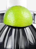 Caso CP300 Zitruspresse f&uuml;r alle Zitrusfr&uuml;chte 