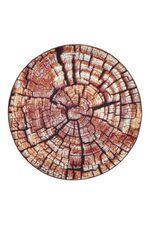 Teppich im naturnahen Baumstamm-Design 