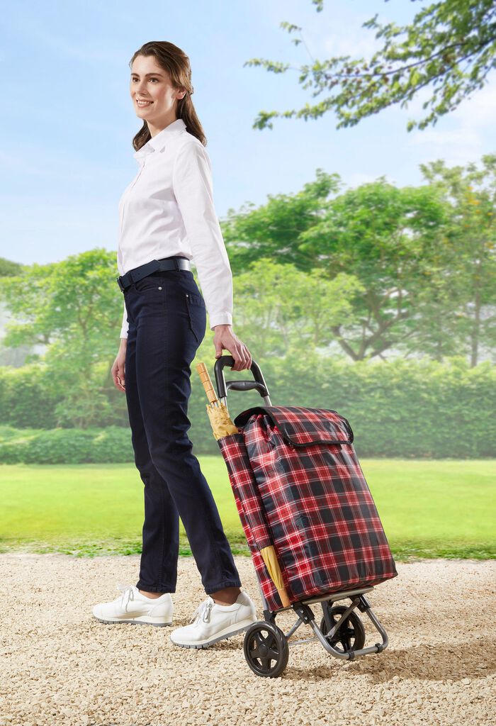 Einkaufstrolley mit Rucksack 