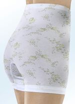 F&uuml;nferpack Unterhosen mit Bl&uuml;tendessin 