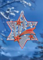 Fensterbild Stern aus echter Plauener Spitze 